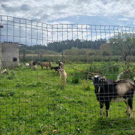 Villa Casa Da Padaria Caldas Da Rainha Esterno foto